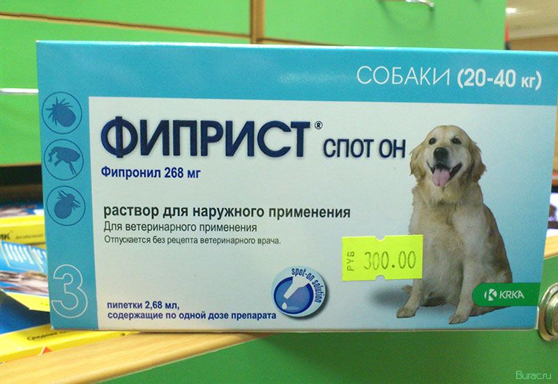 фиприст, собак фиприст, собак