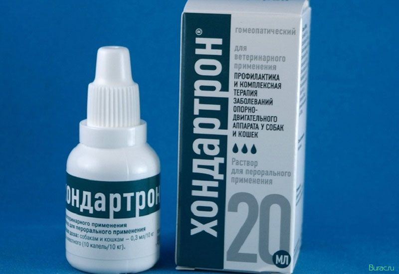 хондартрон, собак хондартрон, собак