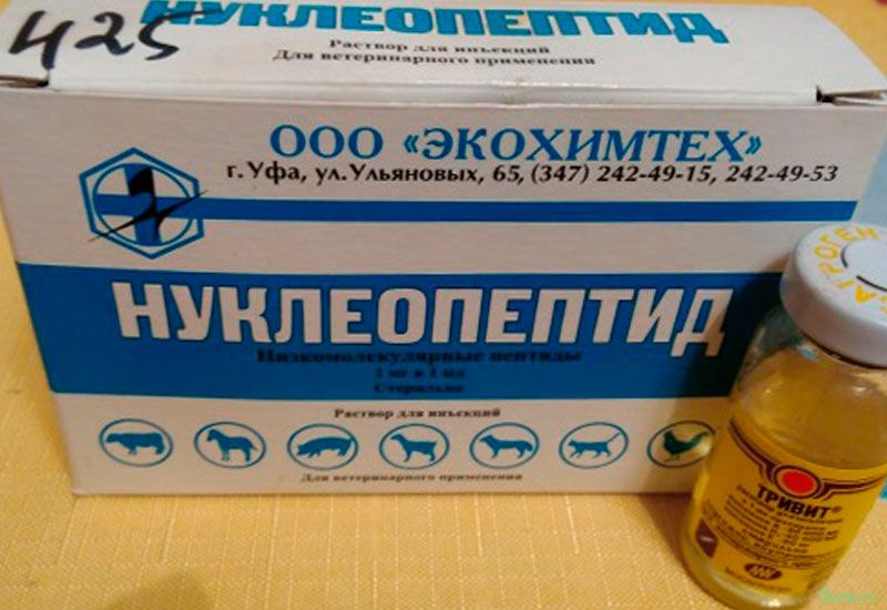 нуклеопептид, собак, массы тела