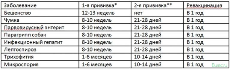 собаки, уживаются, прививки собаки, уживаются, прививки